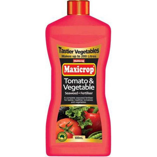 Tomato and Vegetable Concentrate, 600ml