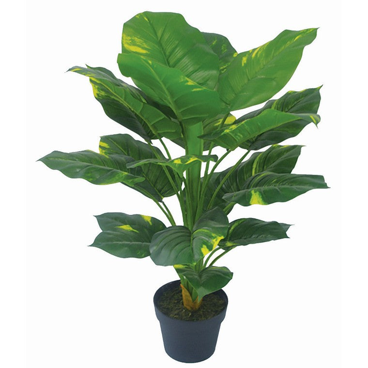 Artificial Veriegated Spotted Plant, 80cm