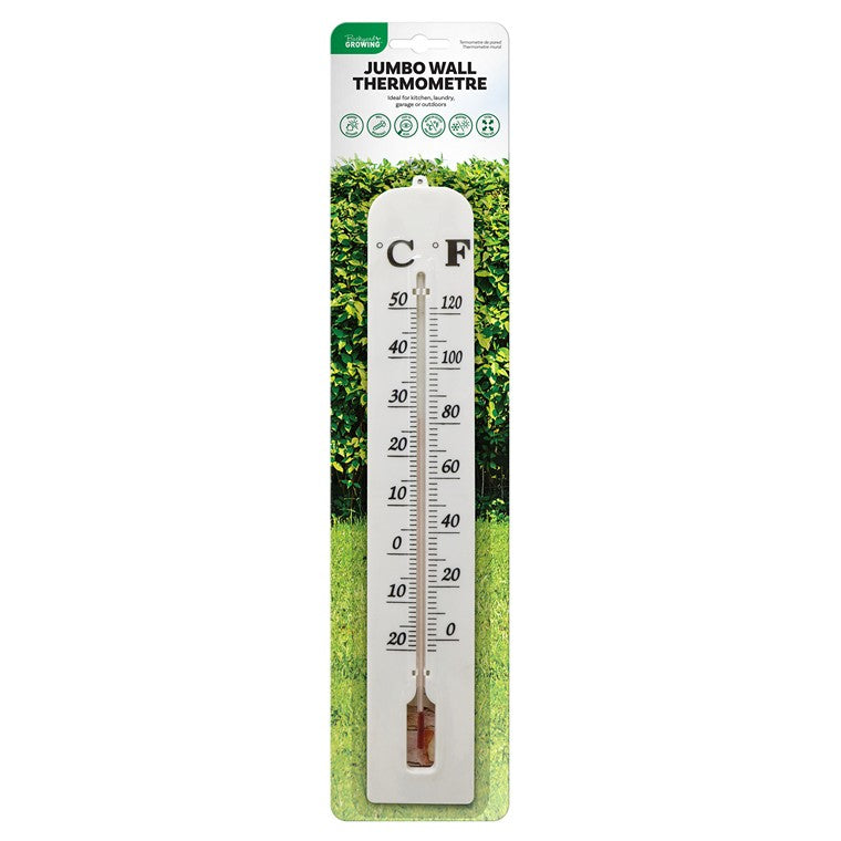 Jumbo Thermometer