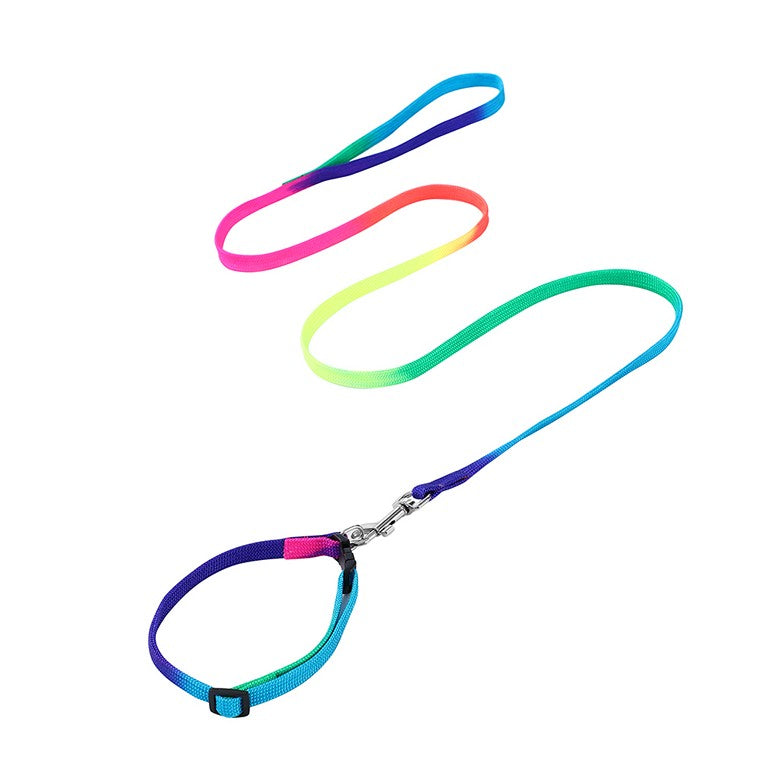 Cat Collar & Lead Set, Rainbow