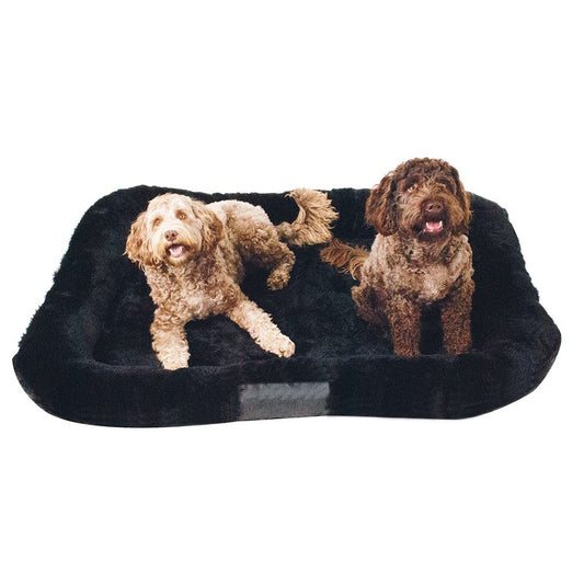 Kelsie Padded Dog Bed, 3 Asstd Colours