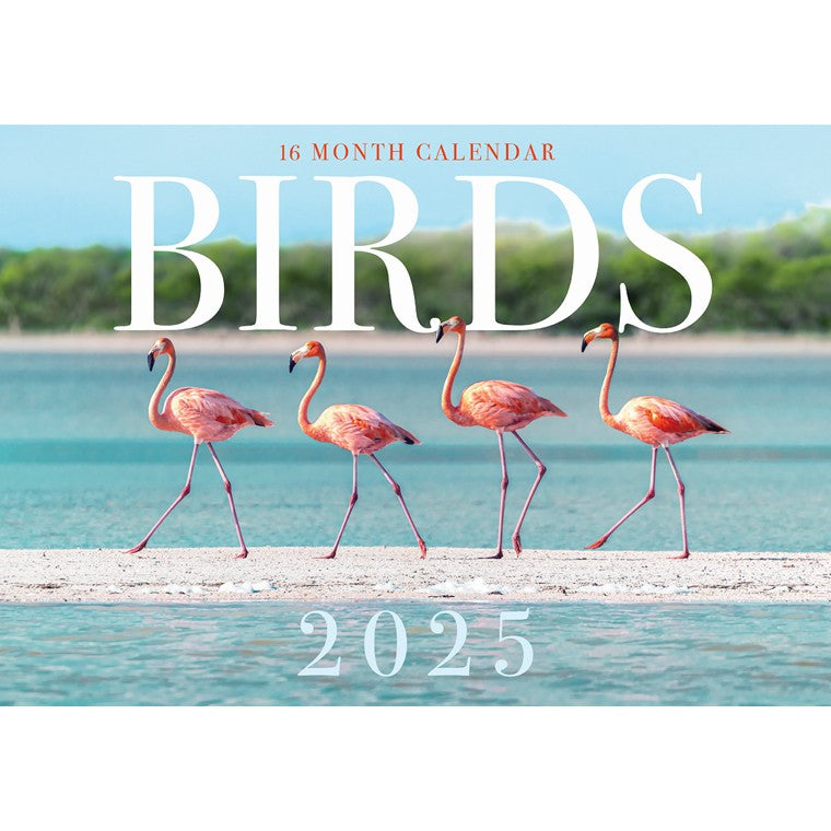 Birds 2025 Calendar