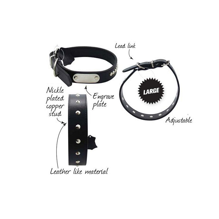 Dog Collar w/ Spikes, Asstd, 60cm