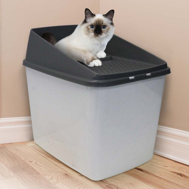 Cat Litter Box