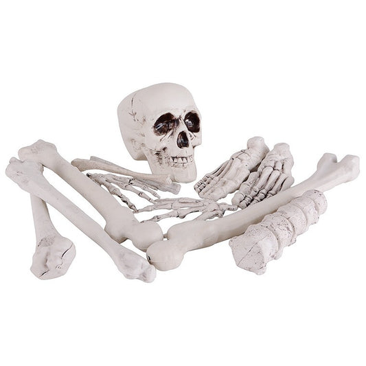 Large Bag Of Bones