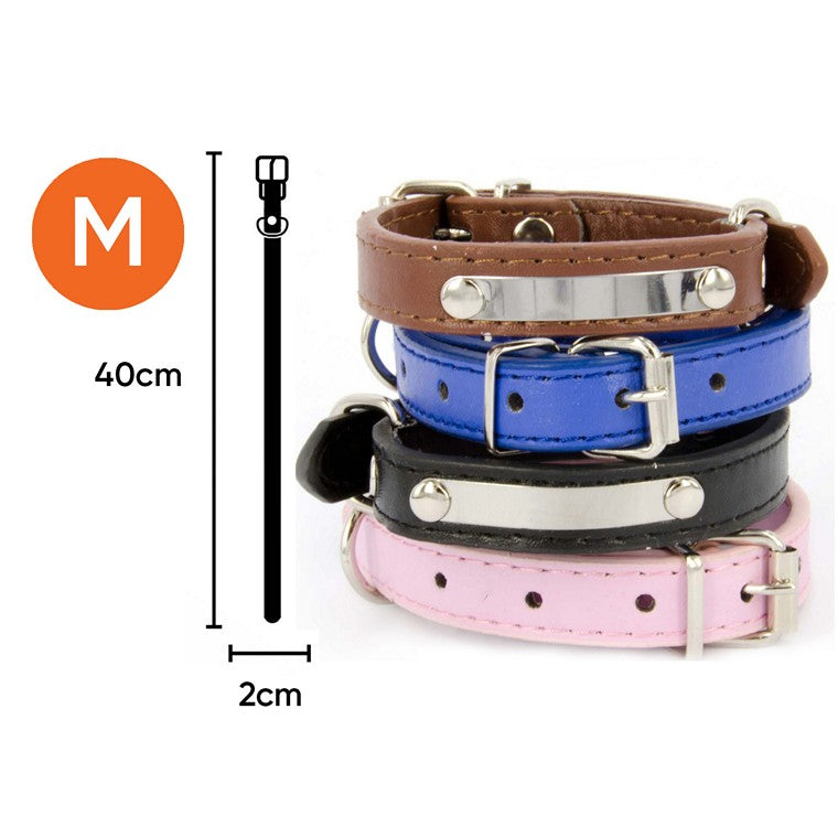 Dog Collar, Asstd, Medium