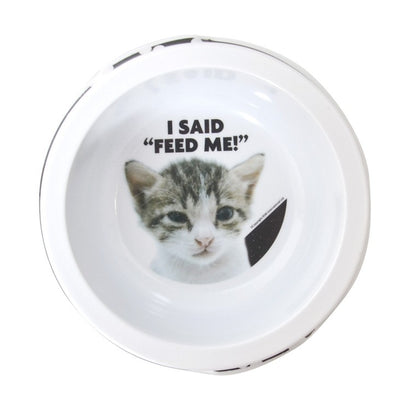 Comedy Cat Bowl, Asstd