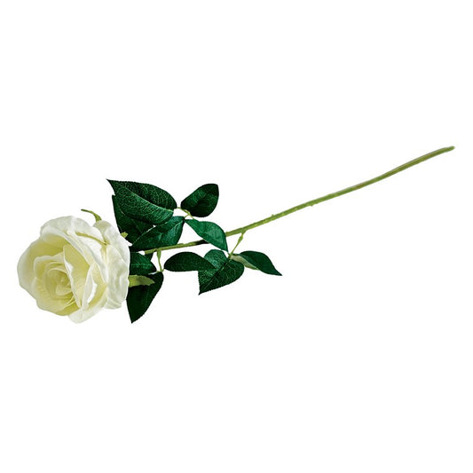 Single Stem White Rose, 62cm