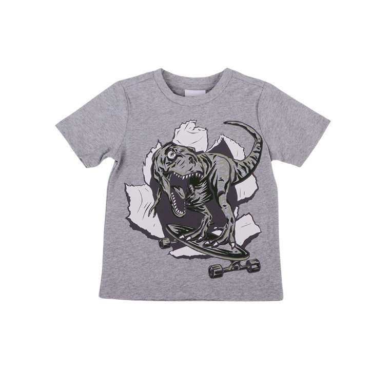 Dino Print Tee, Size 3