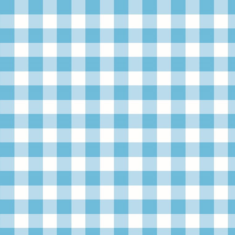 Napkins, Gingham Blue, 20pk