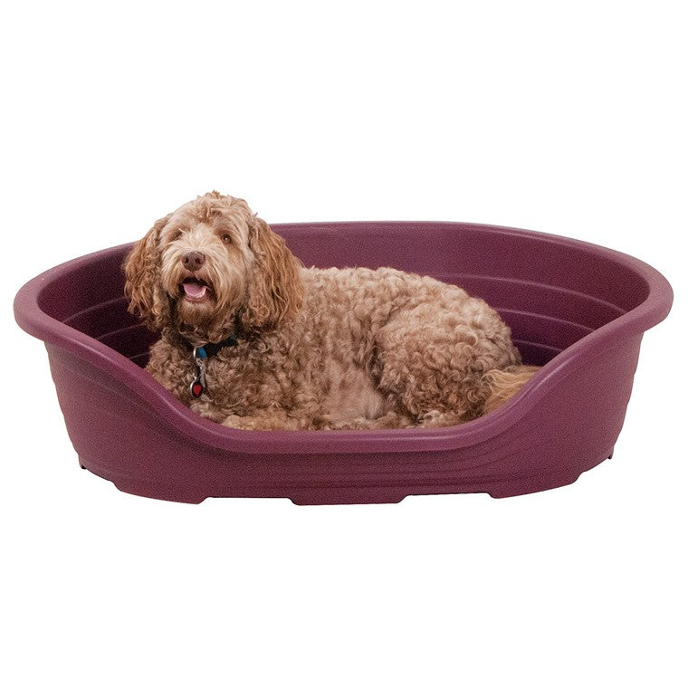 Heavy Duty Plastic Dog Bed, Burgundy, Large