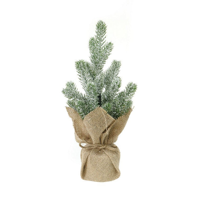 Potted Snowy Pine, 30cm, Asstd