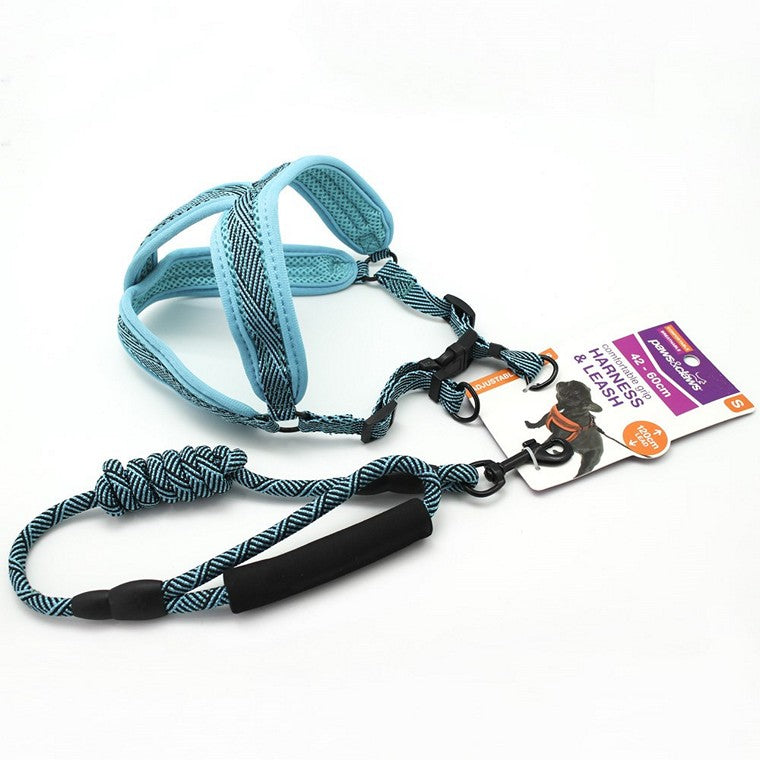 Mesh Lead & Harness, Small, 3 Asstd Colours