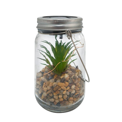 Solar Plant Jar Light