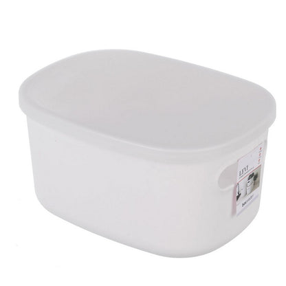 Levi Storage Container w/ Lid, 3 Asstd Colours