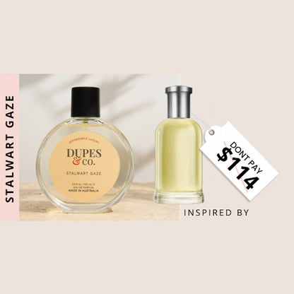 Dupes & Co, Stalwart Gaze, 100ml