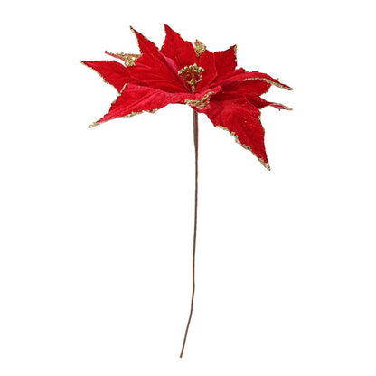 Poinsettia Regal Velvet, 54cm, Asstd