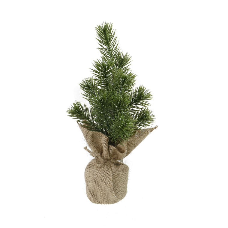 Potted Snowy Pine, 30cm, Asstd