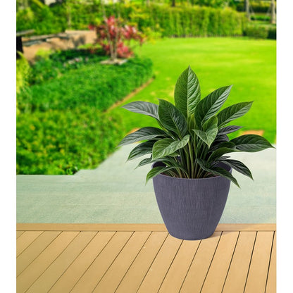 Wood Finish Planter, Asstd