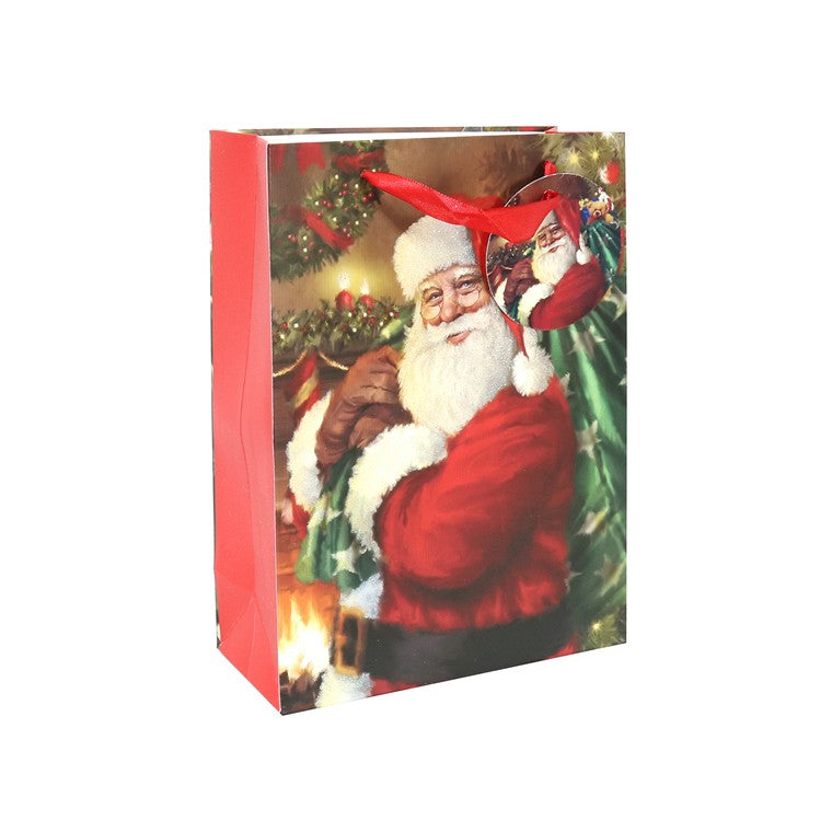 Christmas Santa Glitter, Gift Bag, Medium, Asstd