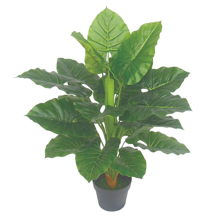 Artificial Elephant Ear Plant