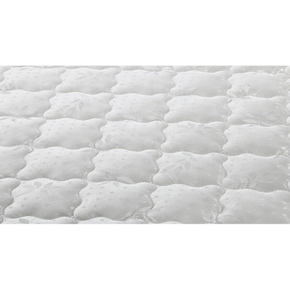 Dreamcom Mattress Essentials, Queen