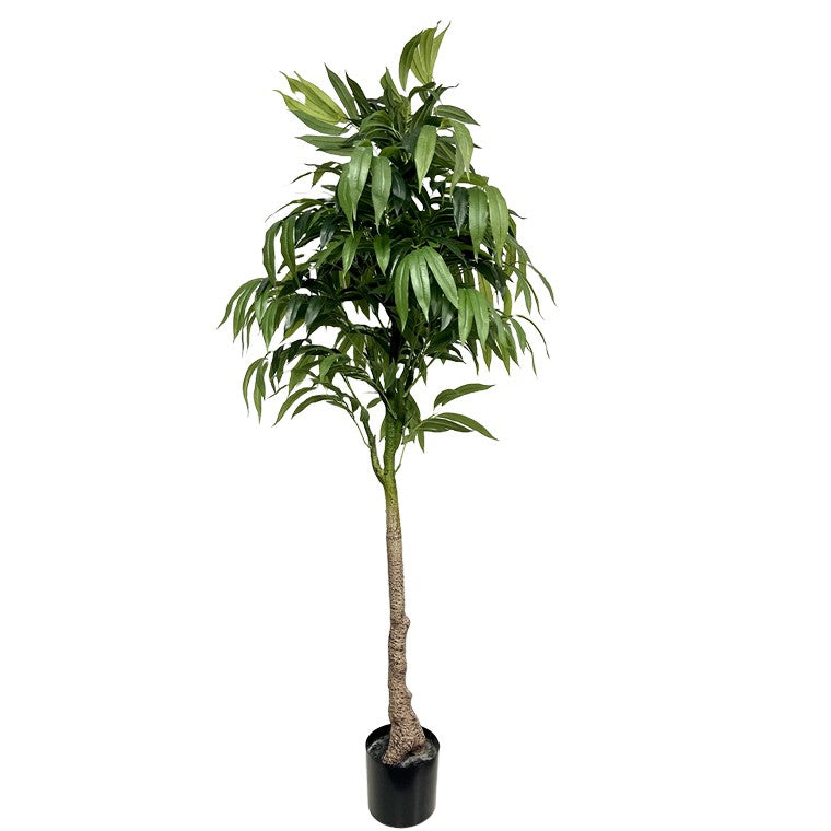 Artificial Silver Willow Plant, 160cm