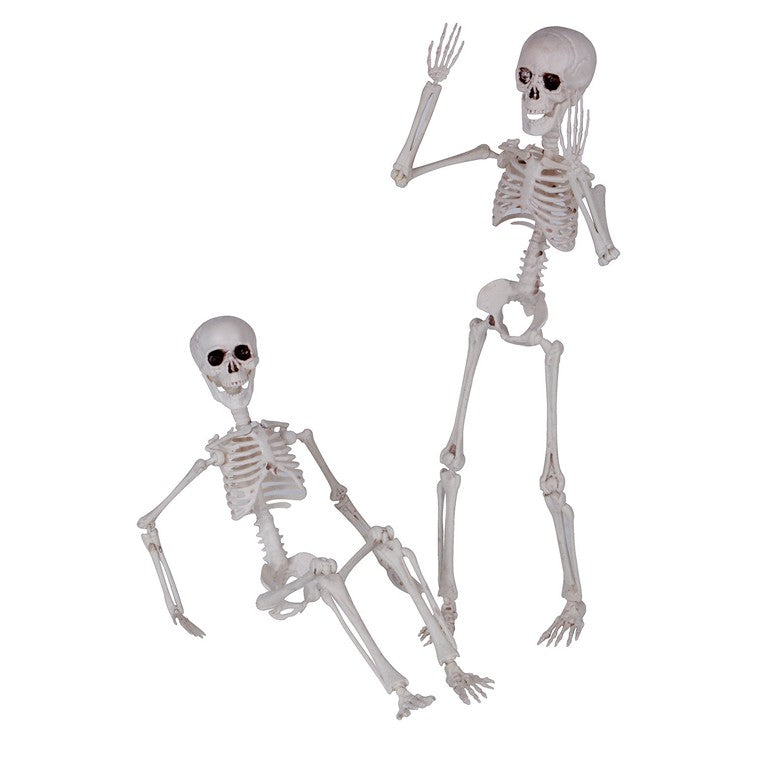 Halloween Posable Skeleton, 48cm