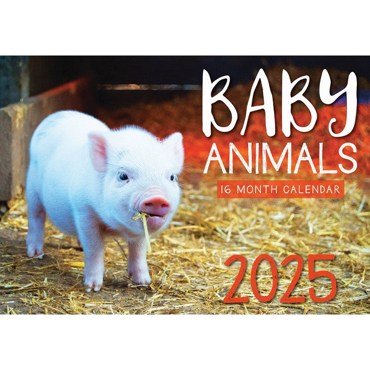 Baby Animals 2025 Calendar