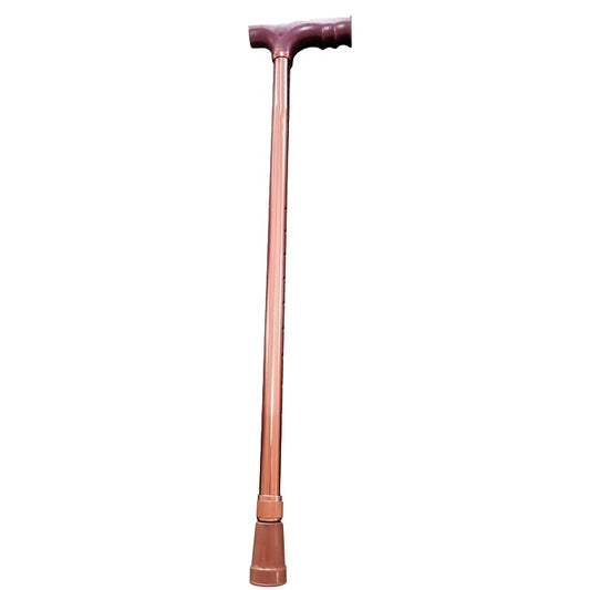 Walking Stick, Brown