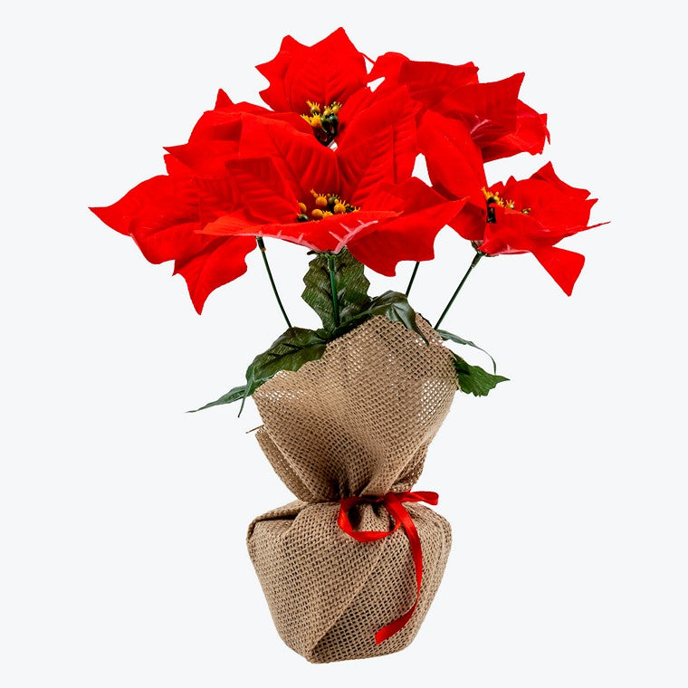 Flower Pot Poinsettia, 31cm