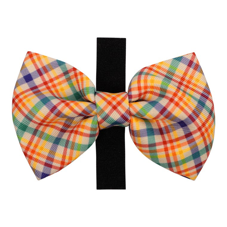 Pet Bow Tie, Check