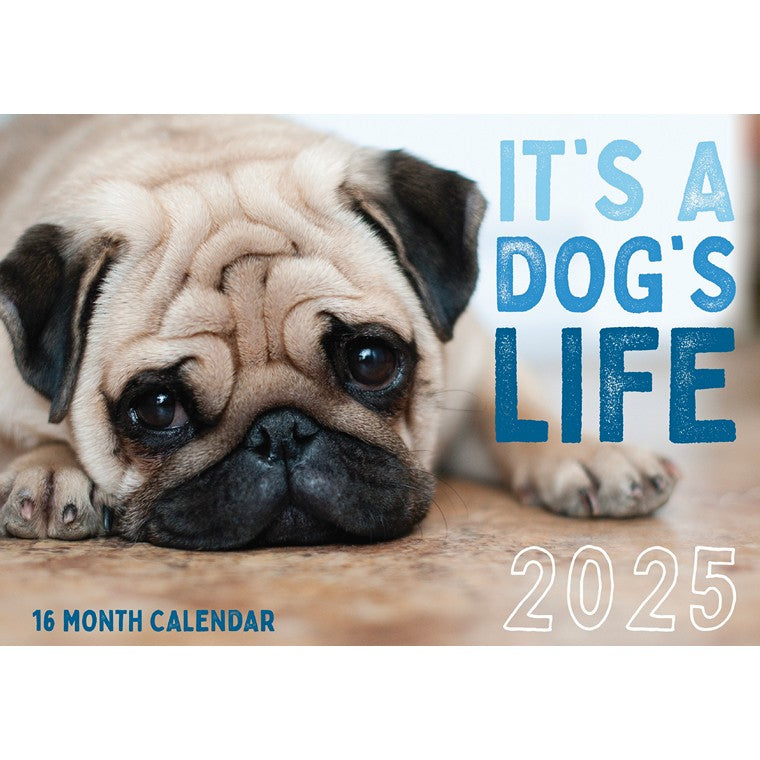 It's a Dogs Life 2025 Calendar