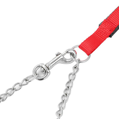 Chain Lead With Padded Handle, 1.2m, 3 Asstd Colours