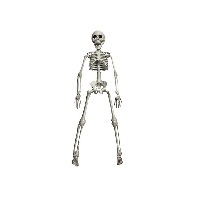 Skeleton, 40cm