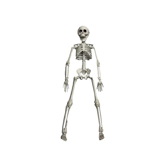 Skeleton, 40cm