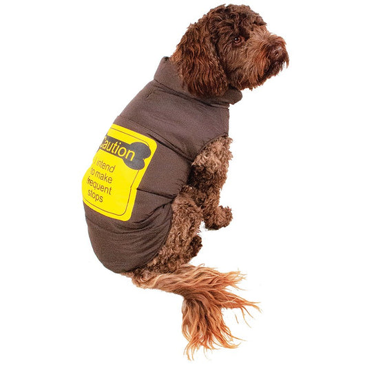 Dog Puffer Jacket, 35cm, Asstd Designs