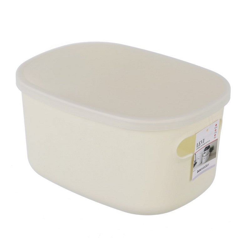 Levi Storage Container w/ Lid, 3 Asstd Colours