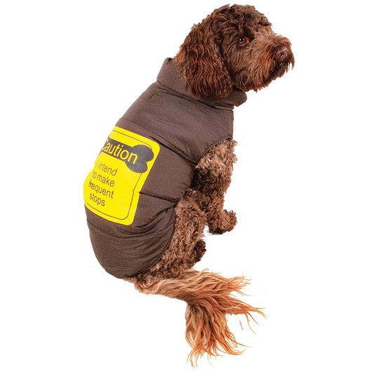 Dog Puffer Jacket, 30cm, Asstd Designs