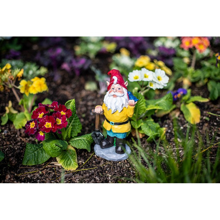 Garden Gnome, Bird