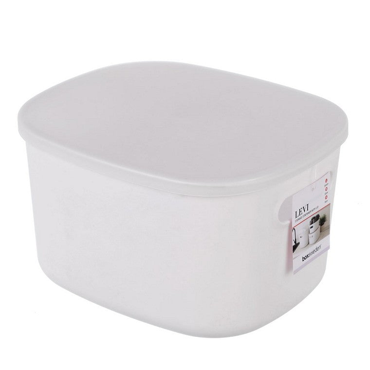 Levi Storage Container w/ Lid, 3 Asstd Colours