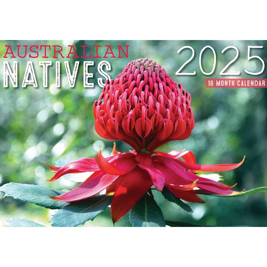 Australian Native Floral 2025 Calendar