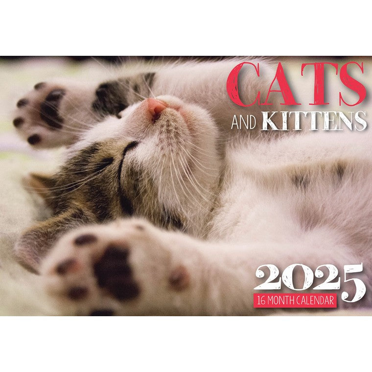 Cats & Kittens 2025 Calendar