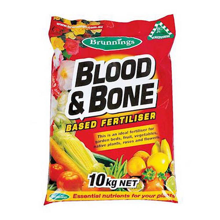 Blood and Bone, 10kg