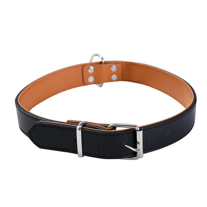 Premium Original Padded  Dog Collar, XLarge, 4 Asstd Colours