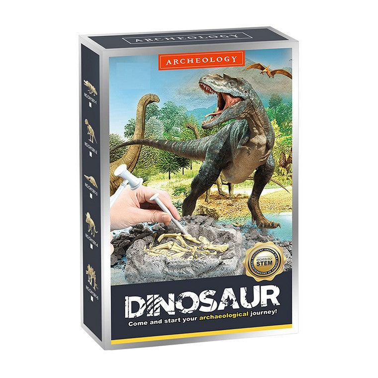 Dinosaur Archaeology Fossil Set, Asstd