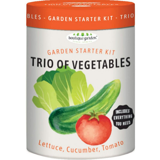 Trio Of Vegetables Garden Starter Kit