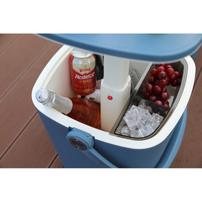 Picnic Cooler