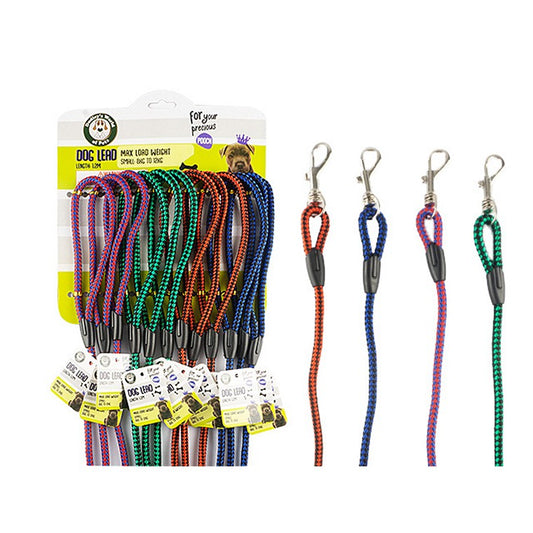 Dog Lead Stripped, Small , 4 Asstd Colours