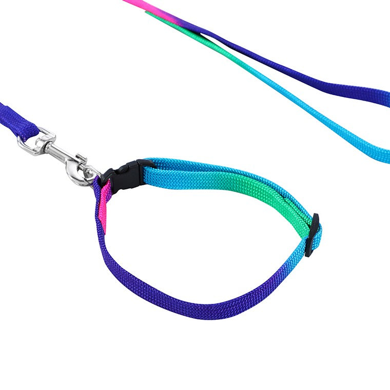 Cat Collar & Lead Set, Rainbow